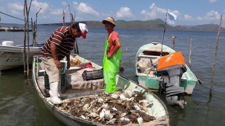 El apoyo es de 3 mil 750 pesos para los 32 mil 561 pescadores ribereños y mujeres trabajadoras de empacadoras de productos pesqueros.