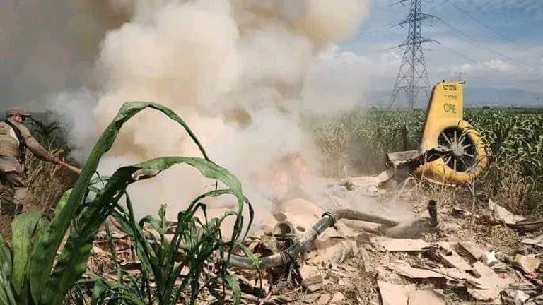 En un comunicado CFE explicó que el desplome ocurrió a pocos minutos de haber despegado y cayó sobre campos de cultivo.