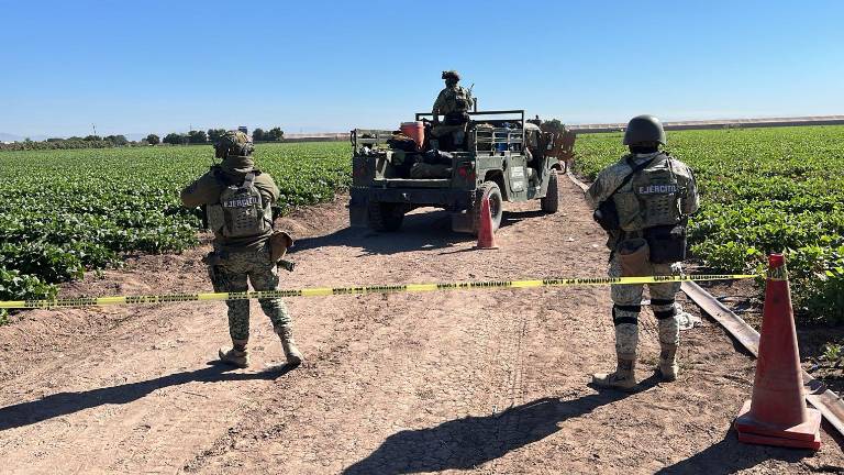 Por el hallazgo se desplegó una movilización de elementos de seguridad federal y locales.