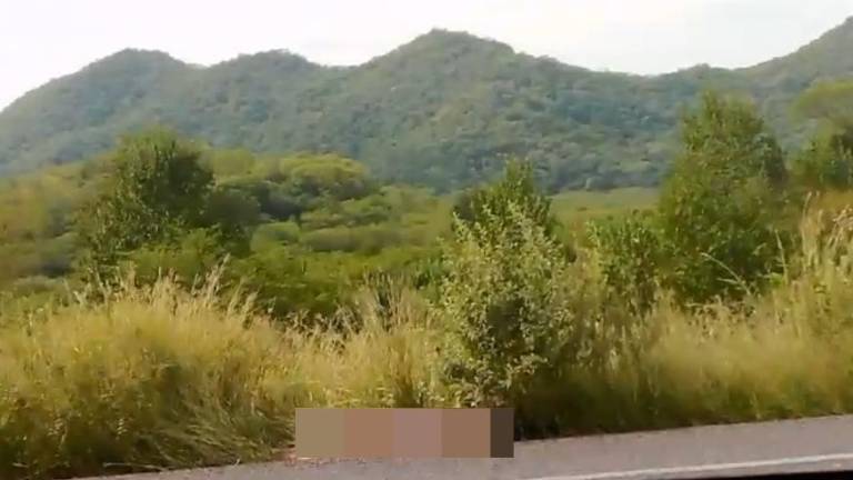 El hallazgo se hizo entre el poblado de Agua Salada, de Mocorito, y La Campana, de Culiacán.
