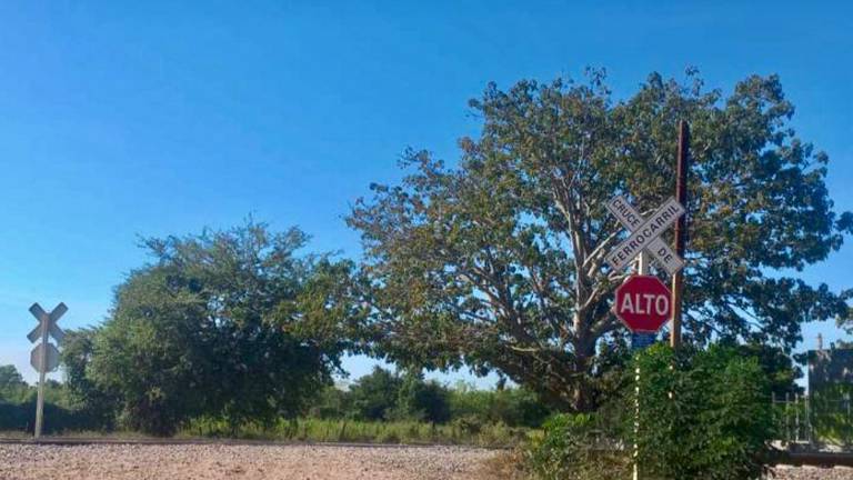 El cruce ferroviario que conecta el Boulevard Morelos y la carretera estatal Escuinapa-Teacapán estuvo en trabajos de reparación.