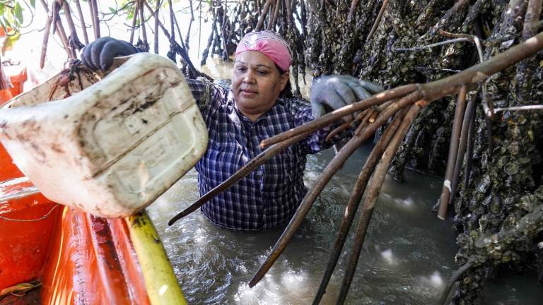 Pescadora Yanett Miranda Castro gana Premio a la Mujer Rural Sinaloense