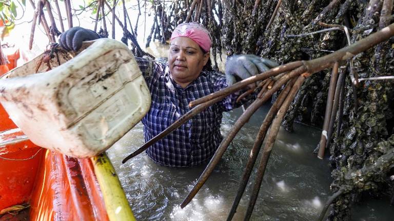 Yanett Miranda Castro Medina ganó el Premio a la Mujer Rural Sinaloense, en su edición 2023.