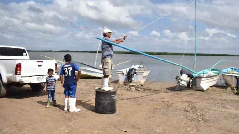 El motivo de esta medida fue que a raíz de las fuertes lluvias generadas por la tormenta tropical ‘Norma’ hubo un mayor arrastre a las bahías de Altata y Ahome.
