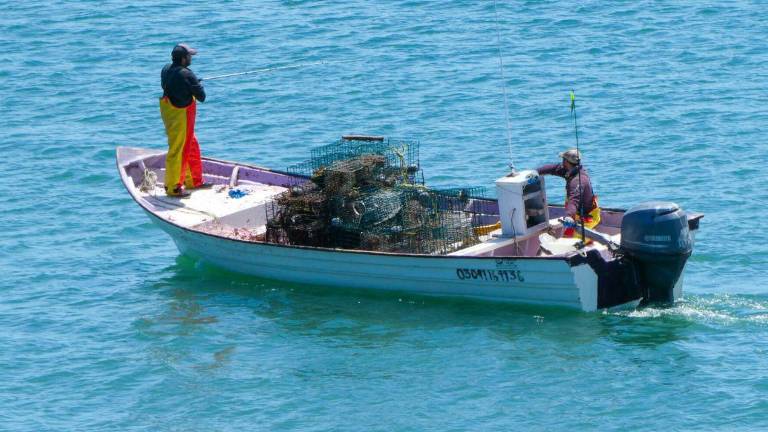 Actualmente se toman decisiones basadas en estadísticas de pesca de hace cinco años, señala Center for Biological Diversity.