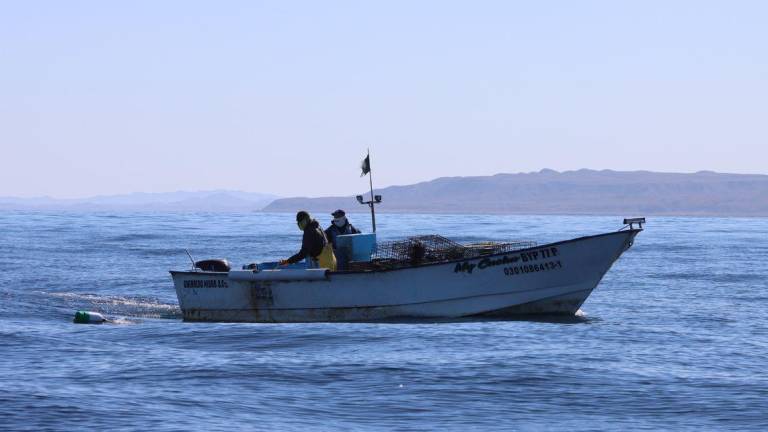 El 79% del sector pesquero considera que hay pesca ilegal en sus comunidades: CN Center