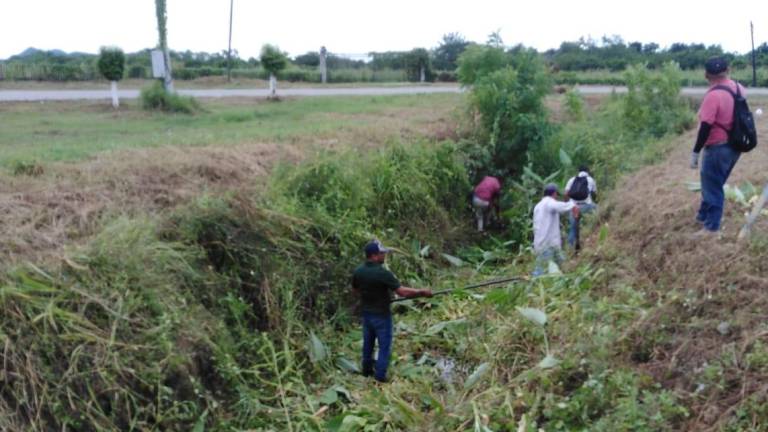 Ecología y Servicios Públicos iniciaron trabajos de limpieza en los canales de Rosario.