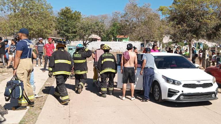 El ataque de abejas generó el reporte a las 15:00 horas y señalaba el panteón de Urías que colinda con el fraccionamiento La Alborada.