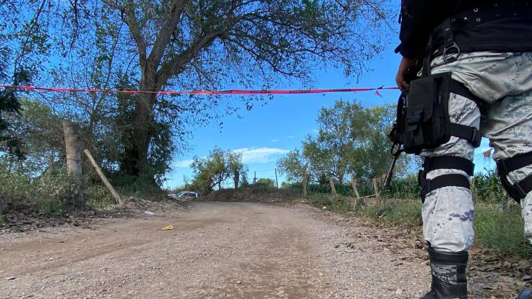 El hallazgo se reportó en un camino de terracería que conduce a unas milpas de maíz y chile en la comunidad de El Walamo.