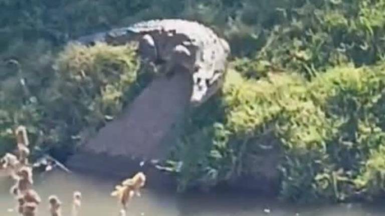 Dos cocodrilos fueron avistados en el canal Humaya a la altura de la comunidad de El Batallón de los Montoya.