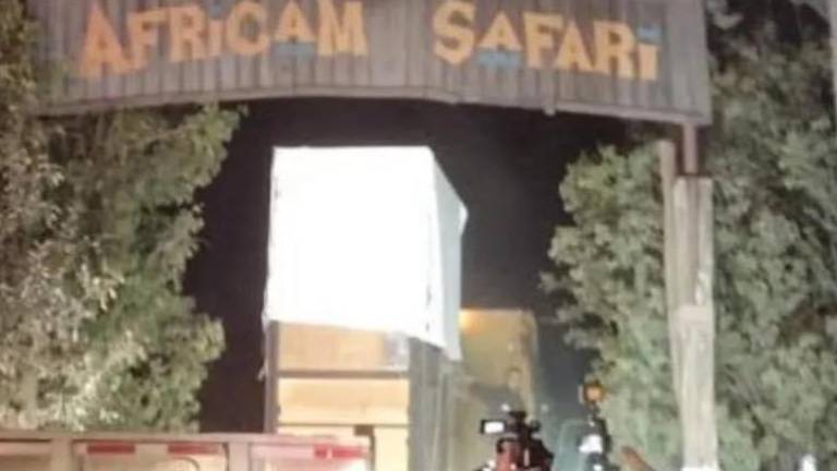 La jirafa Benito llegó a Puebla este 23 de enero alrededor de las 4:30 de la mañana.