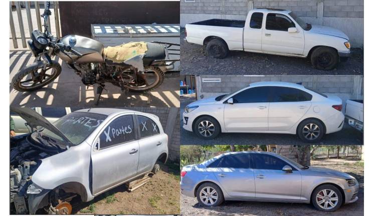 Las unidades fueron puestas a disposición de la Fiscalía General del Estado.