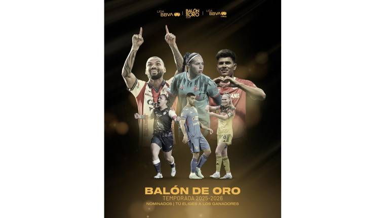 El premio se entregará el próximo 25 de julio.