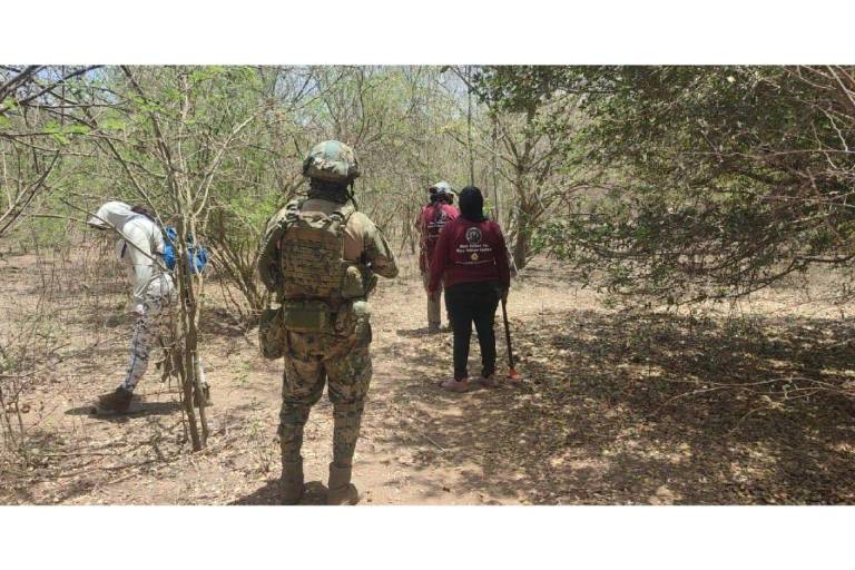 El fin de semana al sur de Mazatlán encontraron restos humanos femeninos.