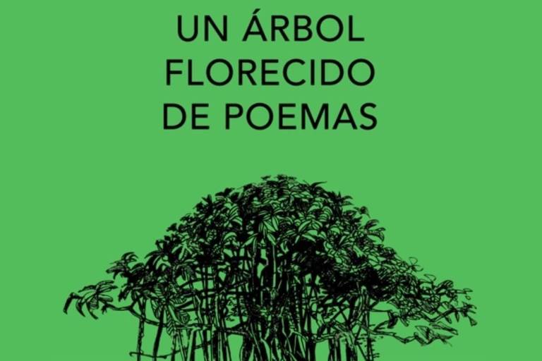 Intervendrán con poemas ‘Un árbol florecido’, en el Jardín Botánico