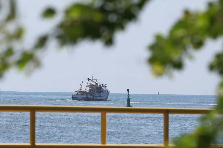Arranca este jueves la captura de camarón en altamar en el Pacífico mexicano