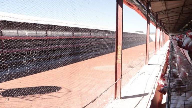 La unidad de producción afectada cuenta con 90 mil gallinas de postura, en Cajeme, Sonora.