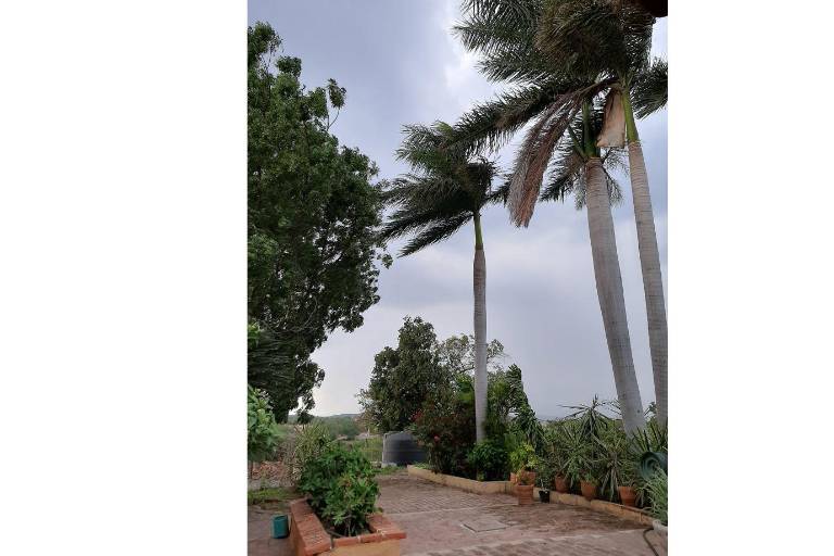 Los relámpagos de agosto