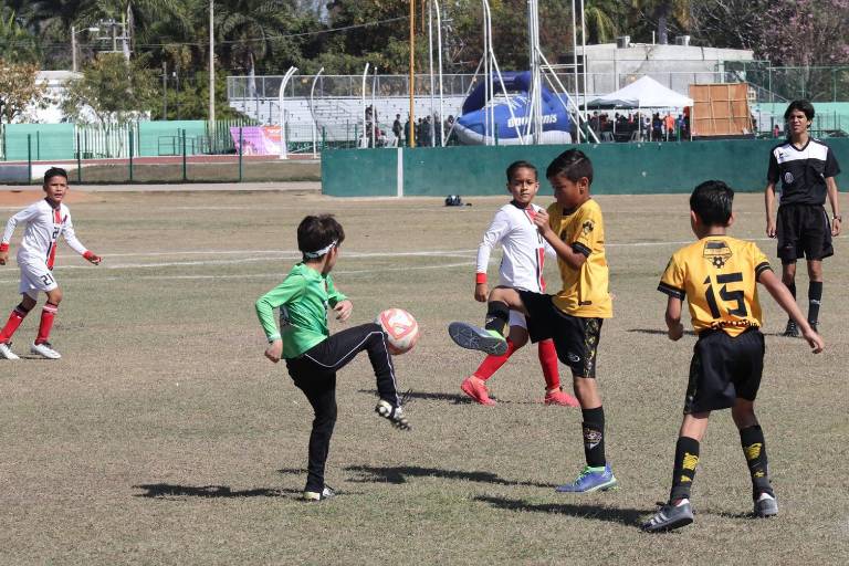 Dan a conocer preselección mazatleca de la categoría Osos rumbo al Estatal de Futbol