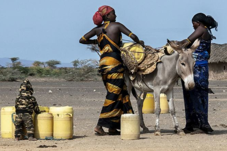 Revela ONU que mujeres sufren de forma desproporcionada los estragos de la sequía