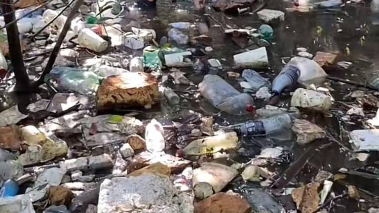 El colectivo Viva la Ola descubre una pequeña isla de Mazatlán llena de basura.