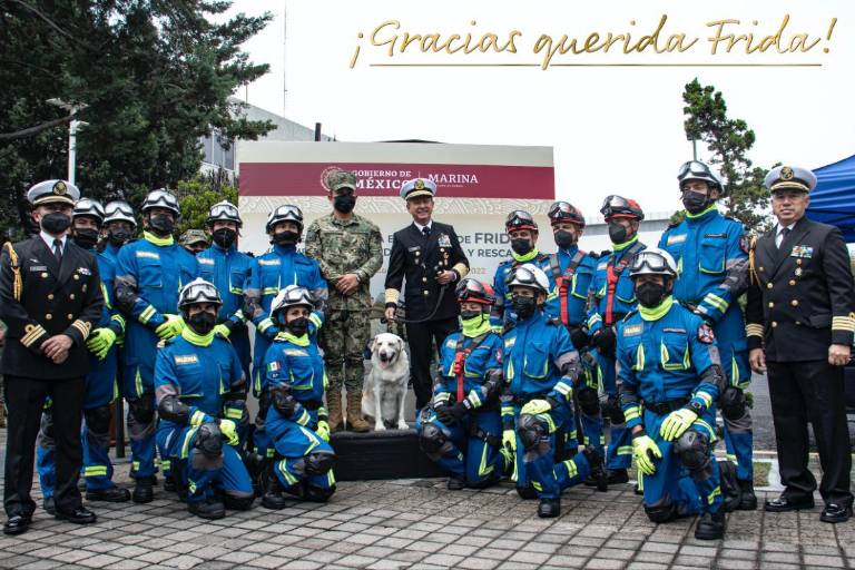 Muere Frida, la perra rescatista, a los 13 años de edad; salvó la vida de 12 personas