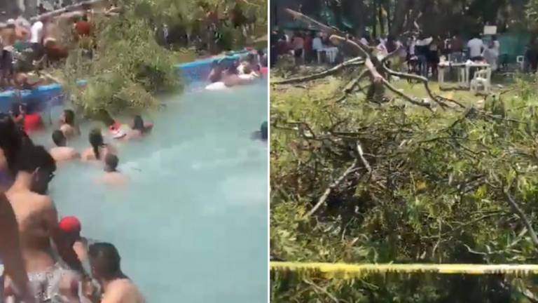 Al menos 10 personas habrían resultado heridas tras la caída del árbol en un balneario de Silao, percance en el que también se reportó la presunta muerte de un bebé.
