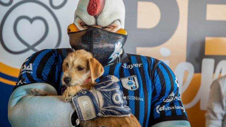 El Estadio Corregidora se convierte en el primero Pet Friendly en el mundo