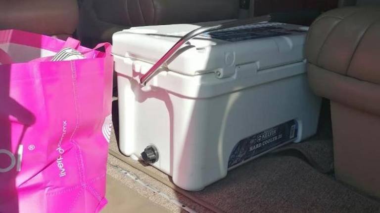 Las vacunas aseguradas.