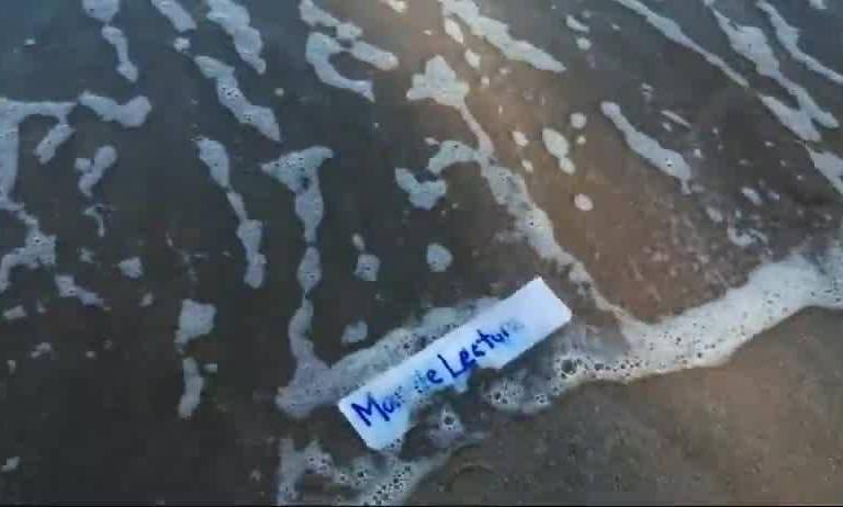 Este lunes comienza la segunda edición de Mar de Lectura