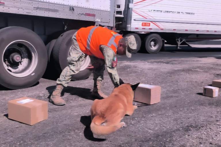 Aseguran mariguana en punto de revisión de Ahome