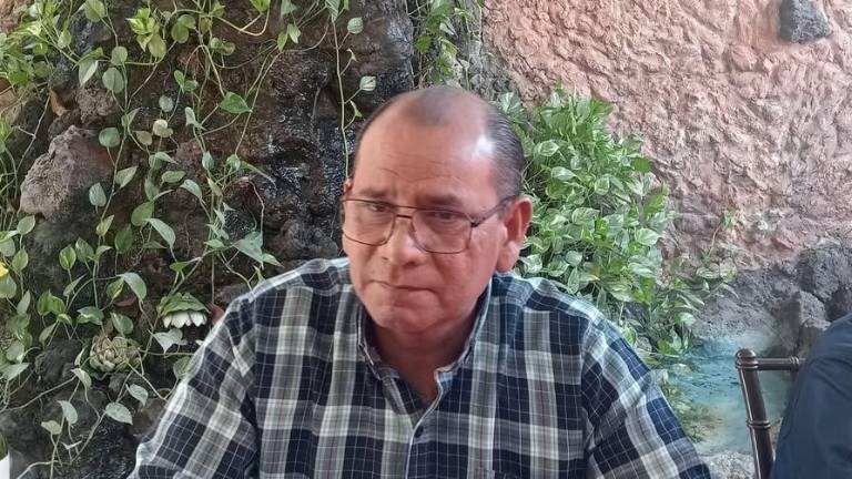 Villarreal Gastélum indicó que como primer paso, se deben denunciar los hechos para acceder a la justicia.