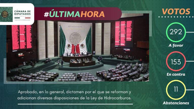 L sesión del Pleno en la se que aprobó al reforma.