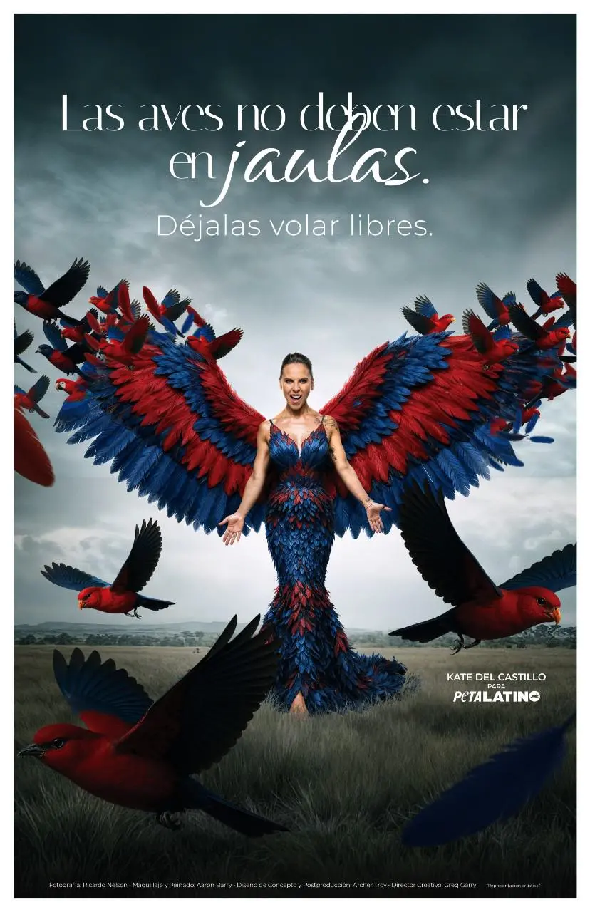 $!Participa Kate del Castillo en campaña contra el cautiverio y comercio ilegal de aves