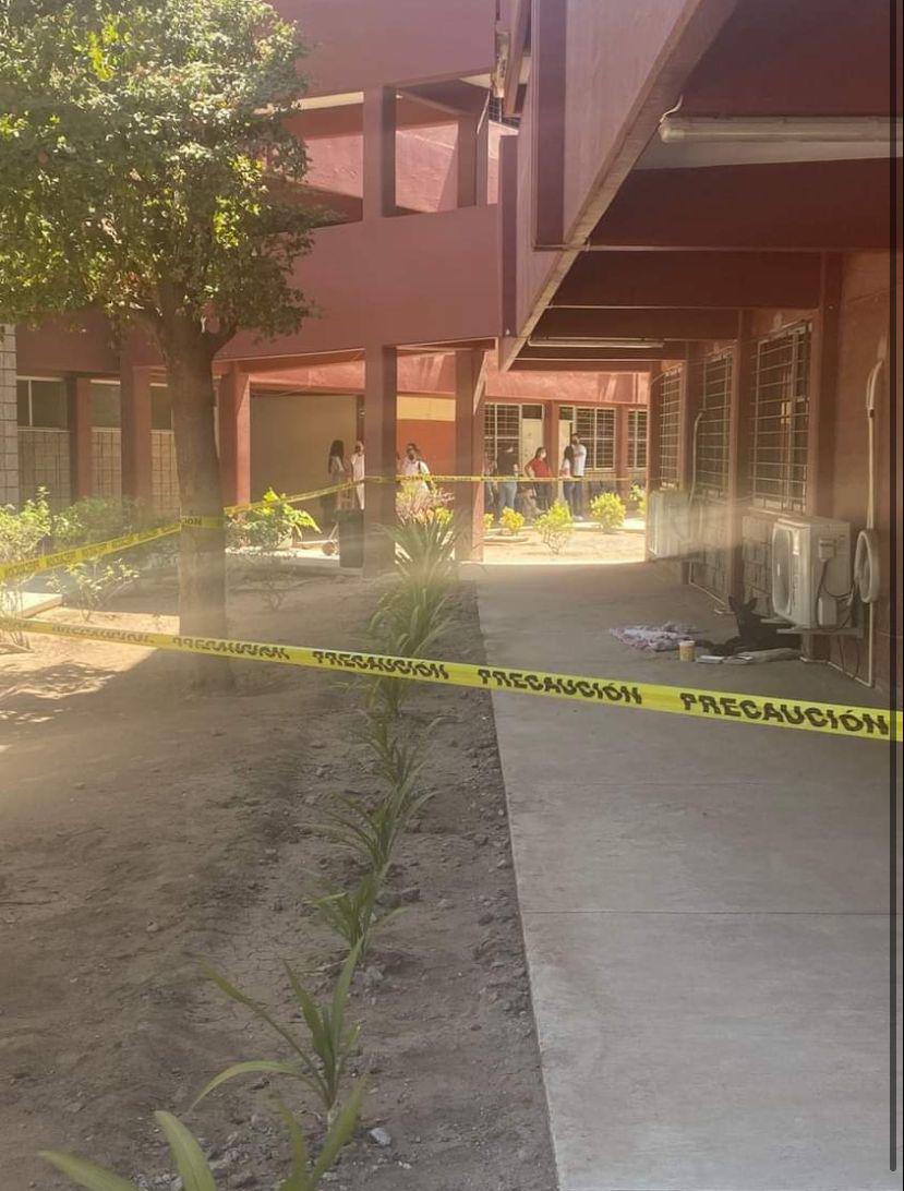 $!Perrita callejera da a luz a sus crías dentro en plantel de la UAdeO en Guamúchil y la protegen