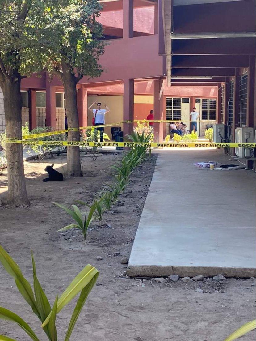 $!Perrita callejera da a luz a sus crías dentro en plantel de la UAdeO en Guamúchil y la protegen