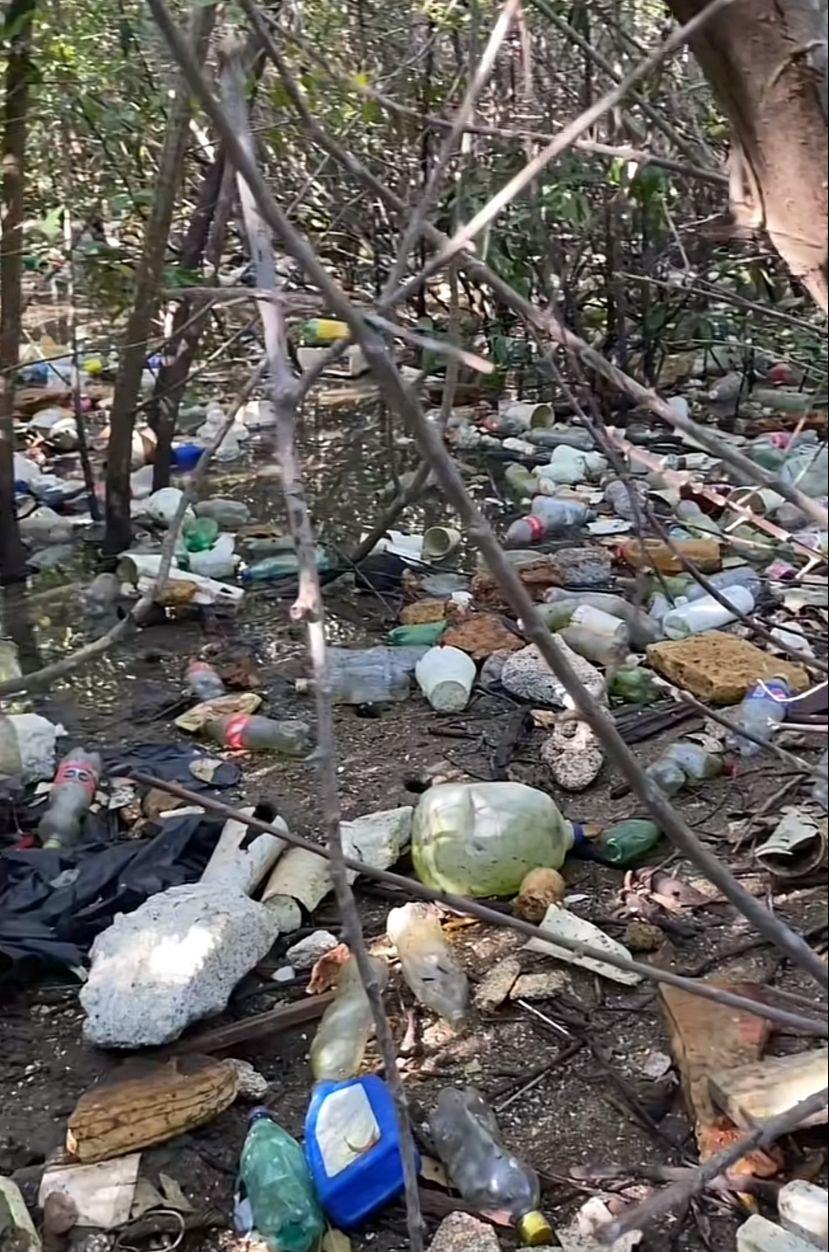 $!Descubren llena de basura una pequeña isla en Mazatlán