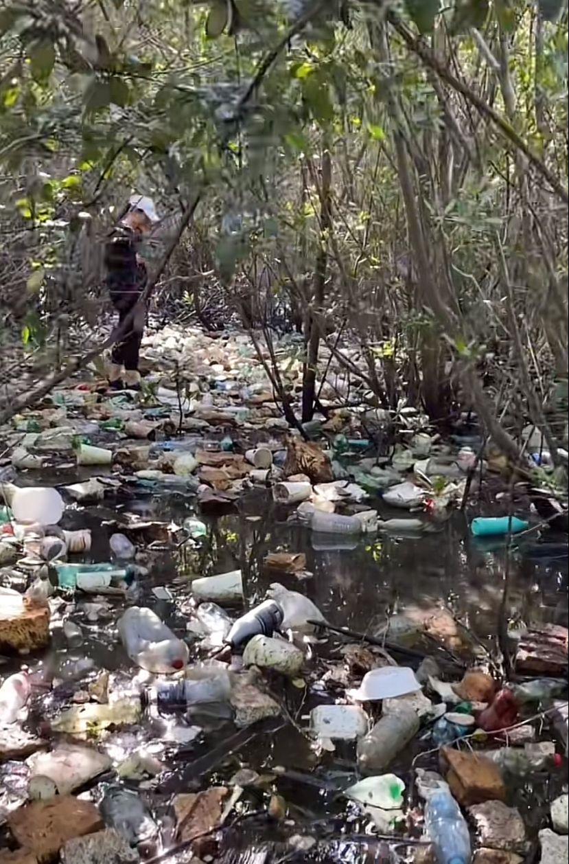 $!Descubren llena de basura una pequeña isla en Mazatlán