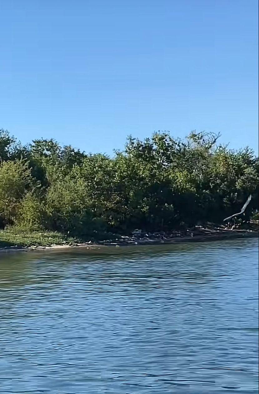 $!Descubren llena de basura una pequeña isla en Mazatlán