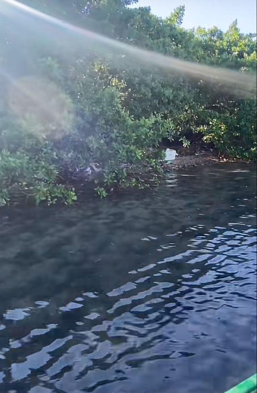 $!Descubren llena de basura una pequeña isla en Mazatlán