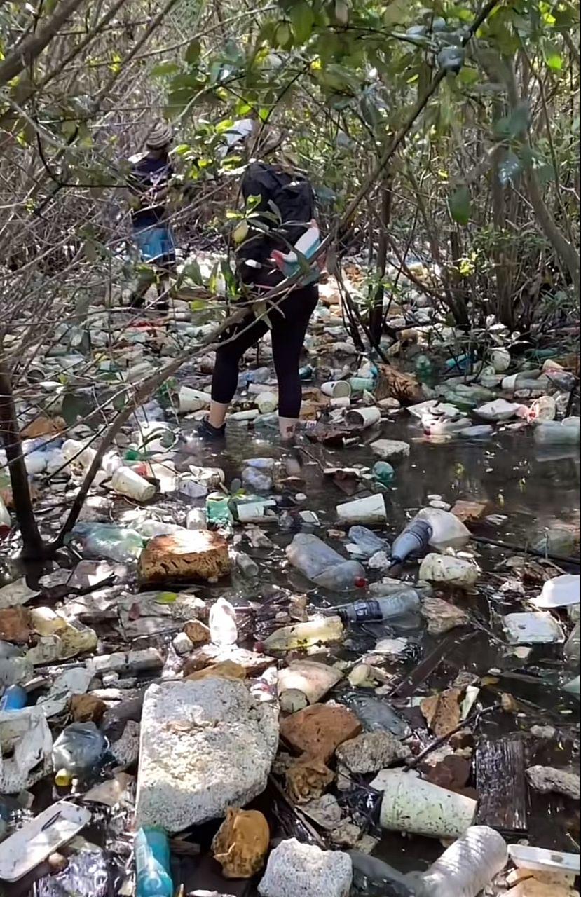 $!Descubren llena de basura una pequeña isla en Mazatlán