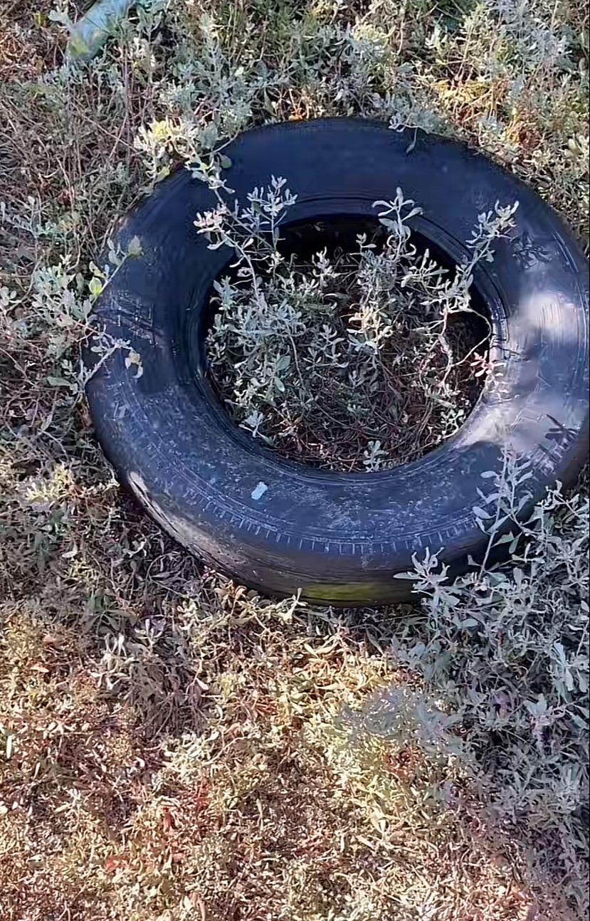 $!Descubren llena de basura una pequeña isla en Mazatlán