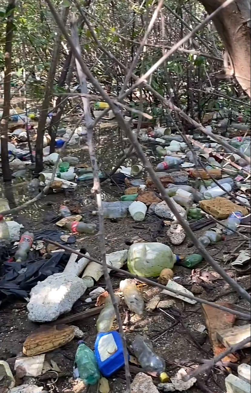 $!Descubren llena de basura una pequeña isla en Mazatlán