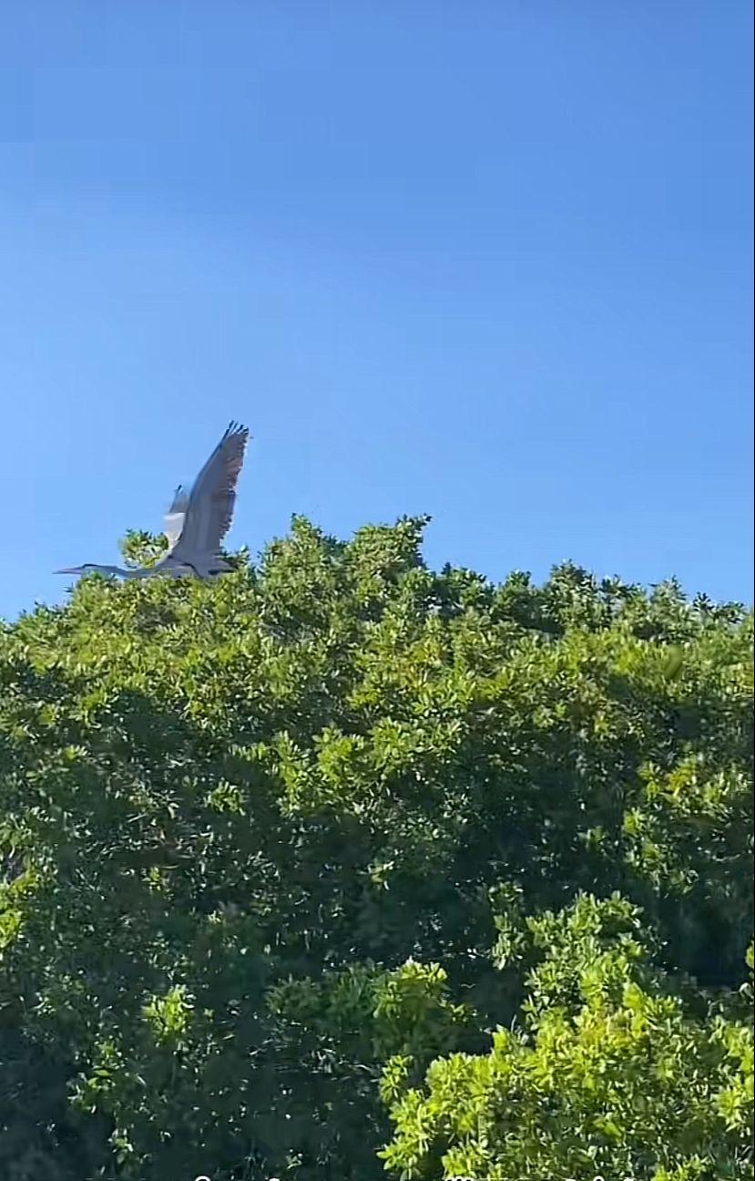 $!Descubren llena de basura una pequeña isla en Mazatlán