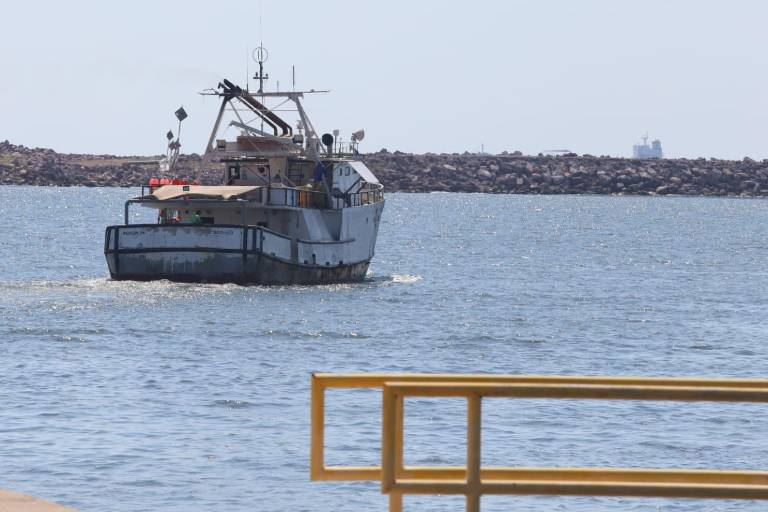 Salen ya algunas embarcaciones camaroneras vía lastre previo al inicio de capturas en altamar