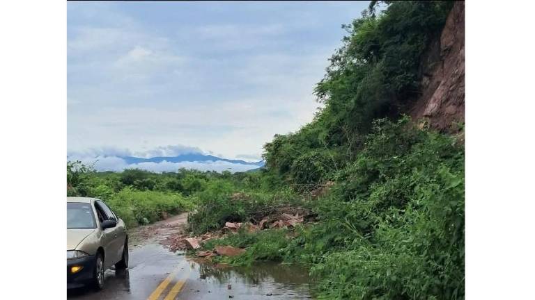El desperfecto se registró a la altura del tramo comprendido entre las comunidades de Los Copales y Hacienda del Tamarindo.