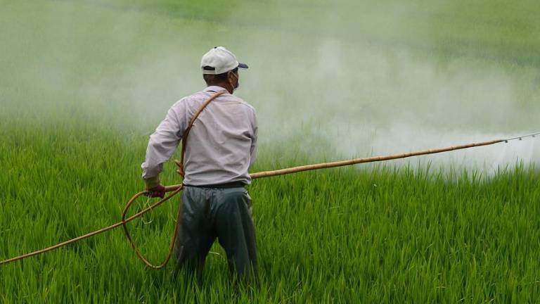 En febrero de 2023, el gobierno mexicano emitió un decreto sobre la eliminación gradual del uso de glifosato.