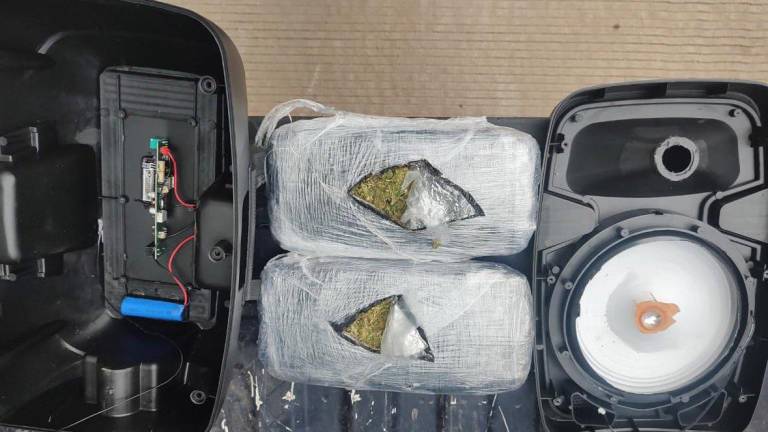 Dos paquetes de mariguana fueron hallados en una bocina por el binomio canino.