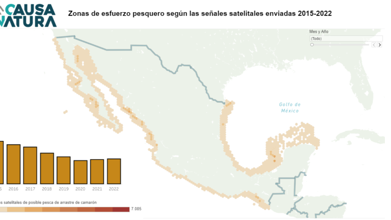 Desde inicios de 2023 no hay monitoreo satelital de embarcaciones en México