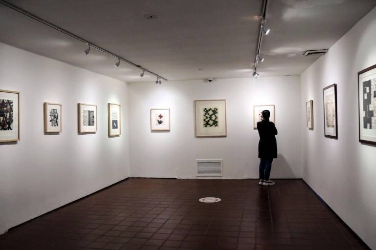 Abre en el Masin nueva exposición del maestro Francisco Castro Leñero